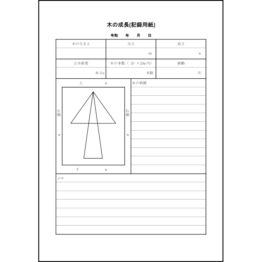 木の成長(記録用紙)28